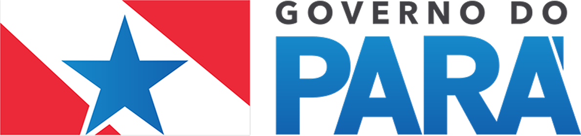 Governo do Pará